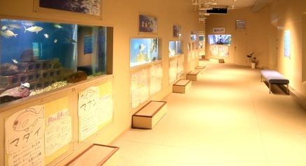 Wakuwaku Kaichu Aquarium Seedonatsu Get Up Close with Marine Life